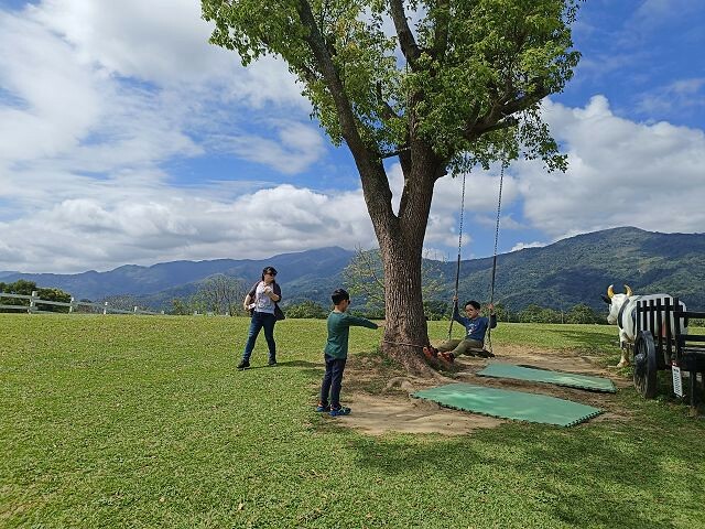 初鹿牧場 | 台東必遊親子景點.寬廣草原令人心曠神怡.近距離餵食動物好好玩!
