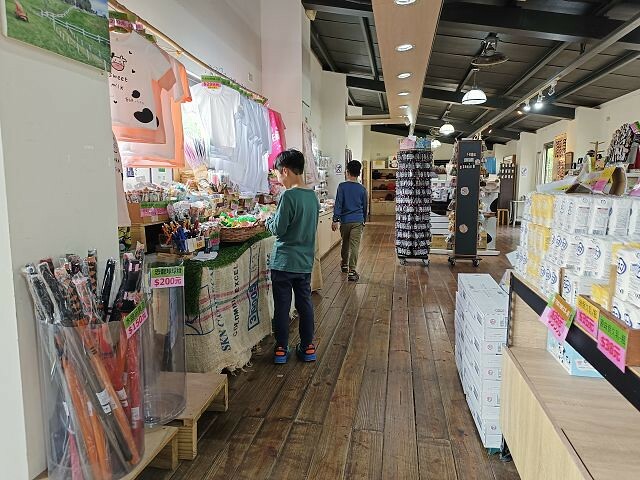 初鹿牧場 | 台東必遊親子景點.寬廣草原令人心曠神怡.近距離餵食動物好好玩!