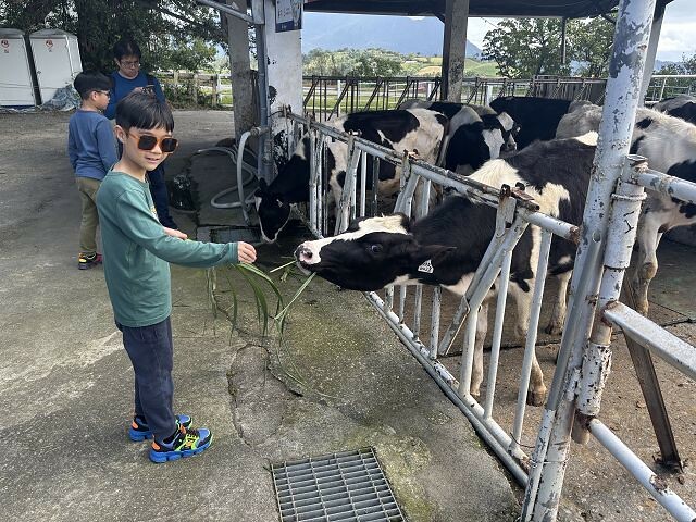 初鹿牧場 | 台東必遊親子景點.寬廣草原令人心曠神怡.近距離餵食動物好好玩!