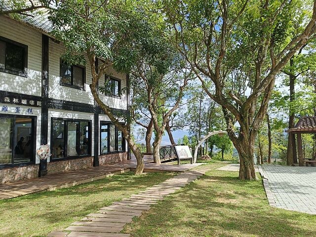 初鹿牧場 | 台東必遊親子景點.寬廣草原令人心曠神怡.近距離餵食動物好好玩!