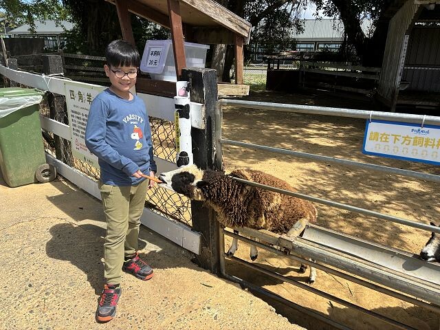 初鹿牧場 | 台東必遊親子景點.寬廣草原令人心曠神怡.近距離餵食動物好好玩!