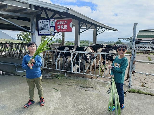 初鹿牧場 | 台東必遊親子景點.寬廣草原令人心曠神怡.近距離餵食動物好好玩!