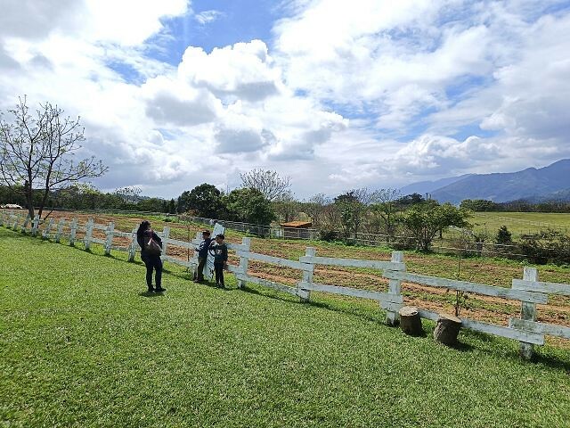 初鹿牧場 | 台東必遊親子景點.寬廣草原令人心曠神怡.近距離餵食動物好好玩!