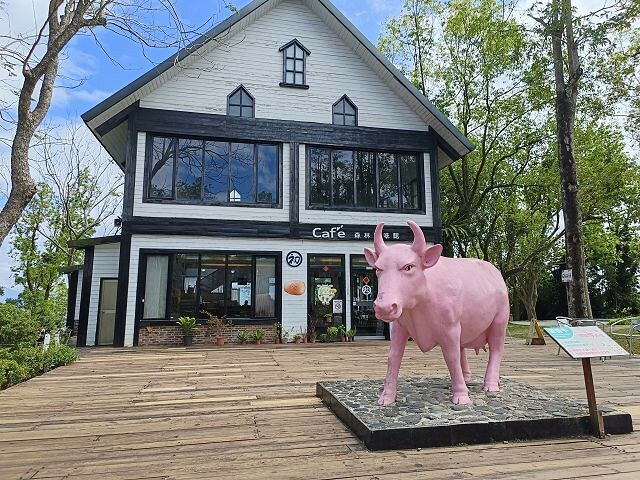 初鹿牧場 | 台東必遊親子景點.寬廣草原令人心曠神怡.近距離餵食動物好好玩!