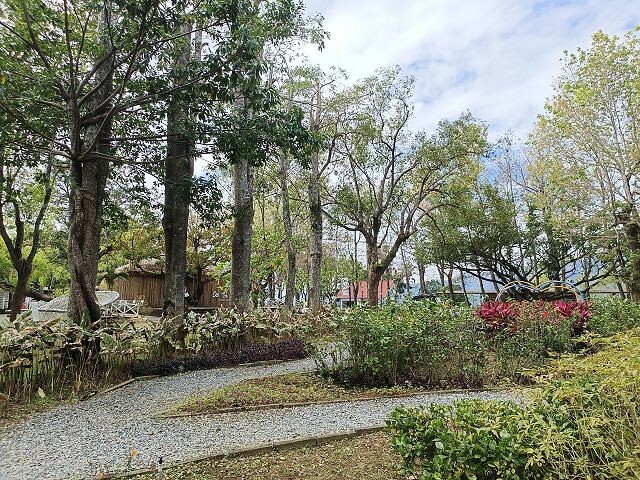 初鹿牧場 | 台東必遊親子景點.寬廣草原令人心曠神怡.近距離餵食動物好好玩!