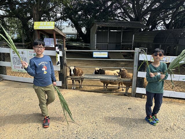 初鹿牧場 | 台東必遊親子景點.寬廣草原令人心曠神怡.近距離餵食動物好好玩!