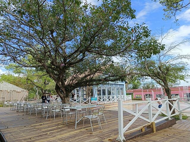 初鹿牧場 | 台東必遊親子景點.寬廣草原令人心曠神怡.近距離餵食動物好好玩!