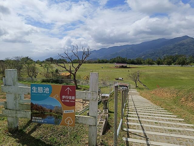 初鹿牧場 | 台東必遊親子景點.寬廣草原令人心曠神怡.近距離餵食動物好好玩!