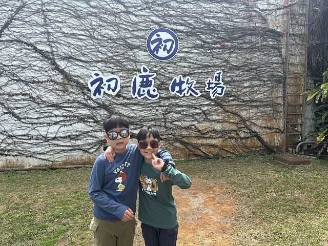 初鹿牧場 | 台東必遊親子景點.寬廣草原令人心曠神怡.近距離餵食動物好好玩!