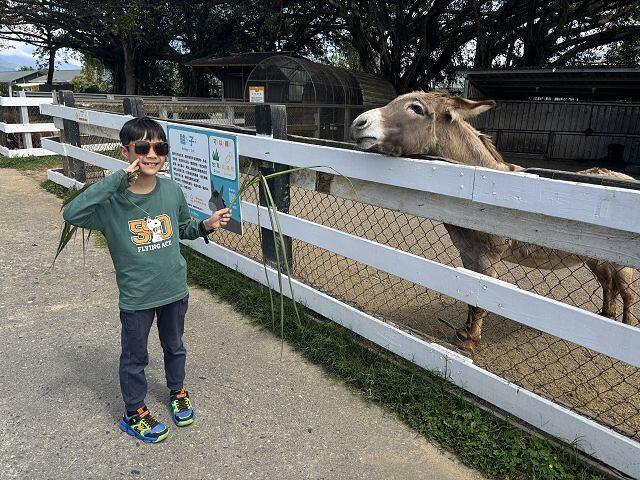 初鹿牧場 | 台東必遊親子景點.寬廣草原令人心曠神怡.近距離餵食動物好好玩!