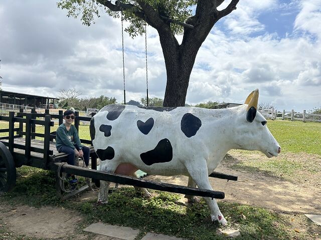 初鹿牧場 | 台東必遊親子景點.寬廣草原令人心曠神怡.近距離餵食動物好好玩!