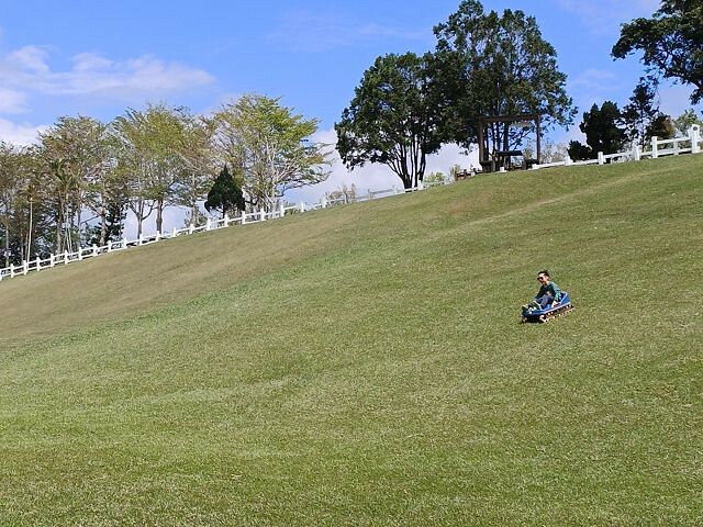初鹿牧場 | 台東必遊親子景點.寬廣草原令人心曠神怡.近距離餵食動物好好玩!