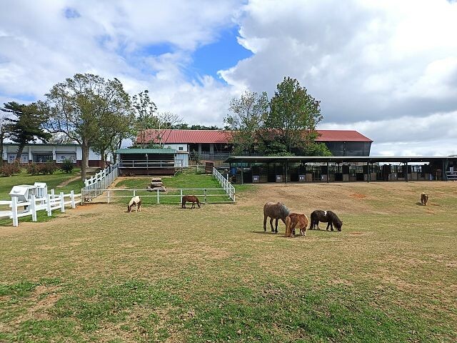 初鹿牧場 | 台東必遊親子景點.寬廣草原令人心曠神怡.近距離餵食動物好好玩!