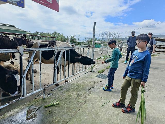 初鹿牧場 | 台東必遊親子景點.寬廣草原令人心曠神怡.近距離餵食動物好好玩!