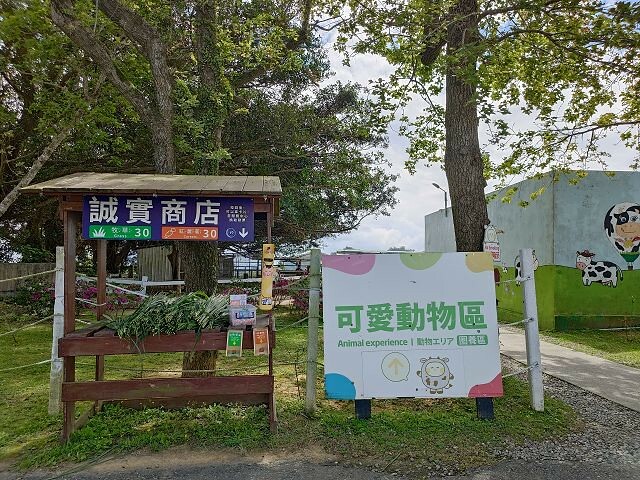 初鹿牧場 | 台東必遊親子景點.寬廣草原令人心曠神怡.近距離餵食動物好好玩!