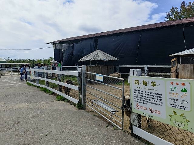 初鹿牧場 | 台東必遊親子景點.寬廣草原令人心曠神怡.近距離餵食動物好好玩!