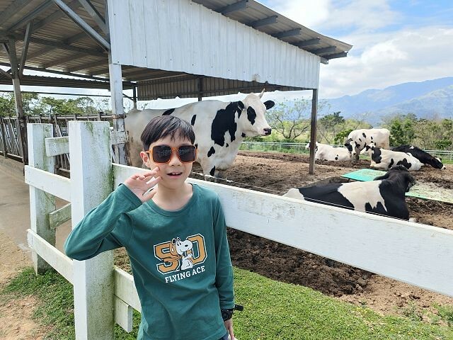 初鹿牧場 | 台東必遊親子景點.寬廣草原令人心曠神怡.近距離餵食動物好好玩!