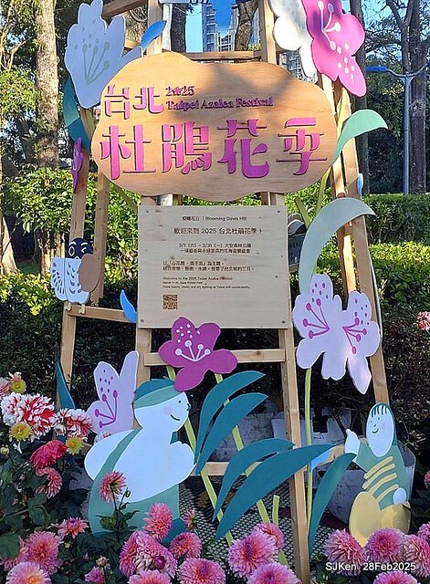 2025台北杜鵑花季系列(二) 大理花篇( Dahlia at Daan forest park), Taipei, Taiwan, SJKen , Feb 28, 2025.