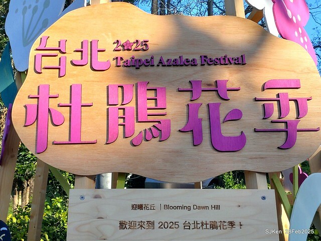 2025台北杜鵑花季系列(二) 大理花篇( Dahlia at Daan forest park), Taipei, Taiwan, SJKen , Feb 28, 2025.