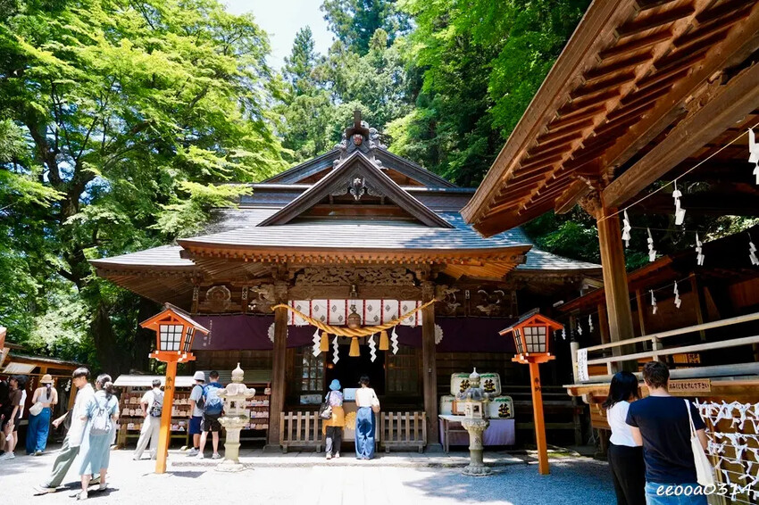 河口湖自駕遊「新倉山淺間公園、富士淺間神社」，賞富士山絕佳景