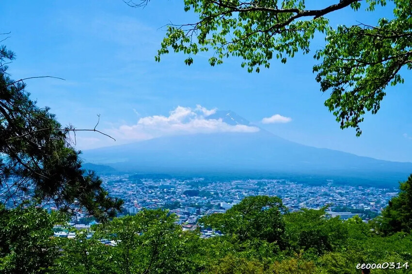河口湖自駕遊「新倉山淺間公園、富士淺間神社」，賞富士山絕佳景