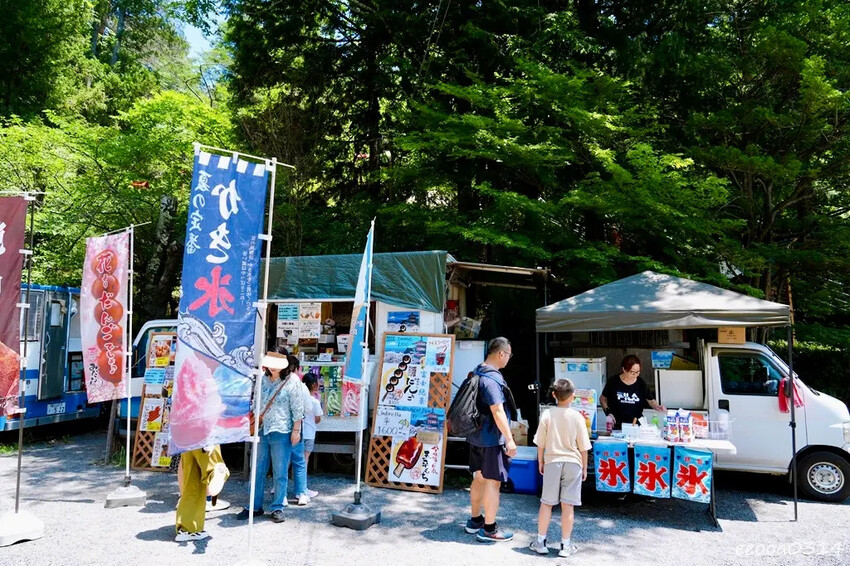河口湖自駕遊「新倉山淺間公園、富士淺間神社」，賞富士山絕佳景