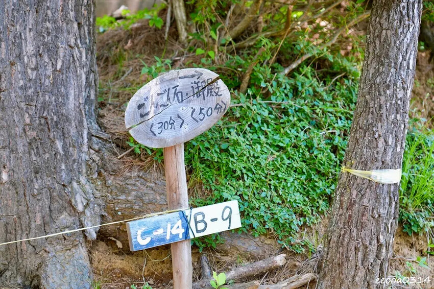 河口湖自駕遊「新倉山淺間公園、富士淺間神社」，賞富士山絕佳景