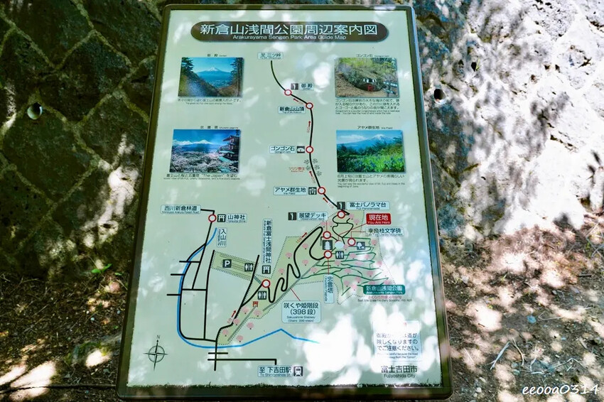 河口湖自駕遊「新倉山淺間公園、富士淺間神社」，賞富士山絕佳景