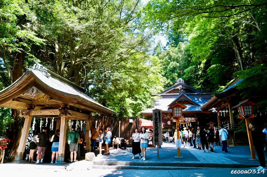 河口湖自駕遊「新倉山淺間公園、富士淺間神社」，賞富士山絕佳景