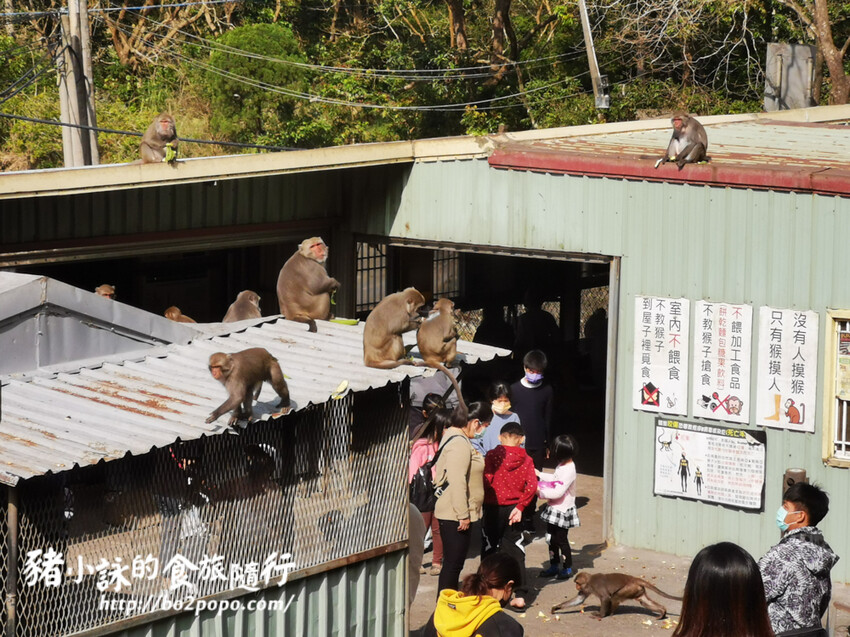 高雄市大樹區【高雄台南旅遊攻略】逃離城市喧囂,三天兩夜暢遊山線,領略自然與人文之美