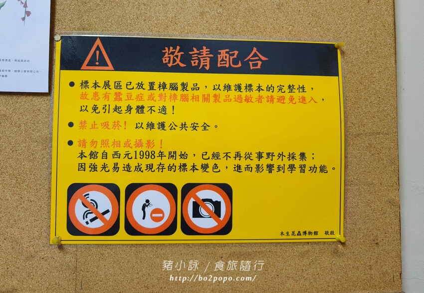 南投縣埔里鎮南投。埔里》木生昆蟲博物館。有趣的親子景點