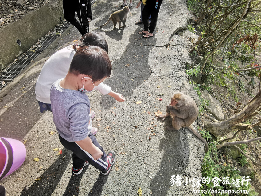高雄市大樹區【高雄台南旅遊攻略】逃離城市喧囂,三天兩夜暢遊山線,領略自然與人文之美
