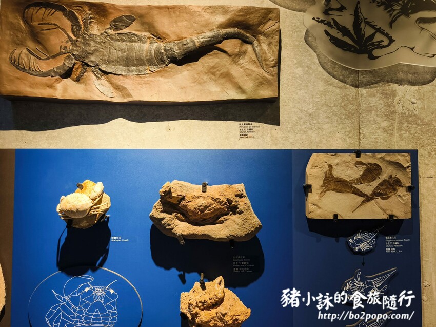 高雄市大樹區【高雄台南旅遊攻略】逃離城市喧囂,三天兩夜暢遊山線,領略自然與人文之美