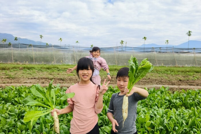 南投縣埔里鎮南投。埔里》木生昆蟲博物館。有趣的親子景點