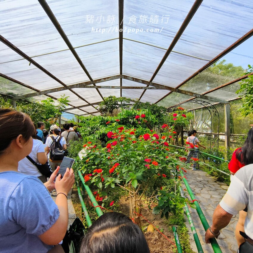 南投縣埔里鎮南投。埔里》木生昆蟲博物館。有趣的親子景點