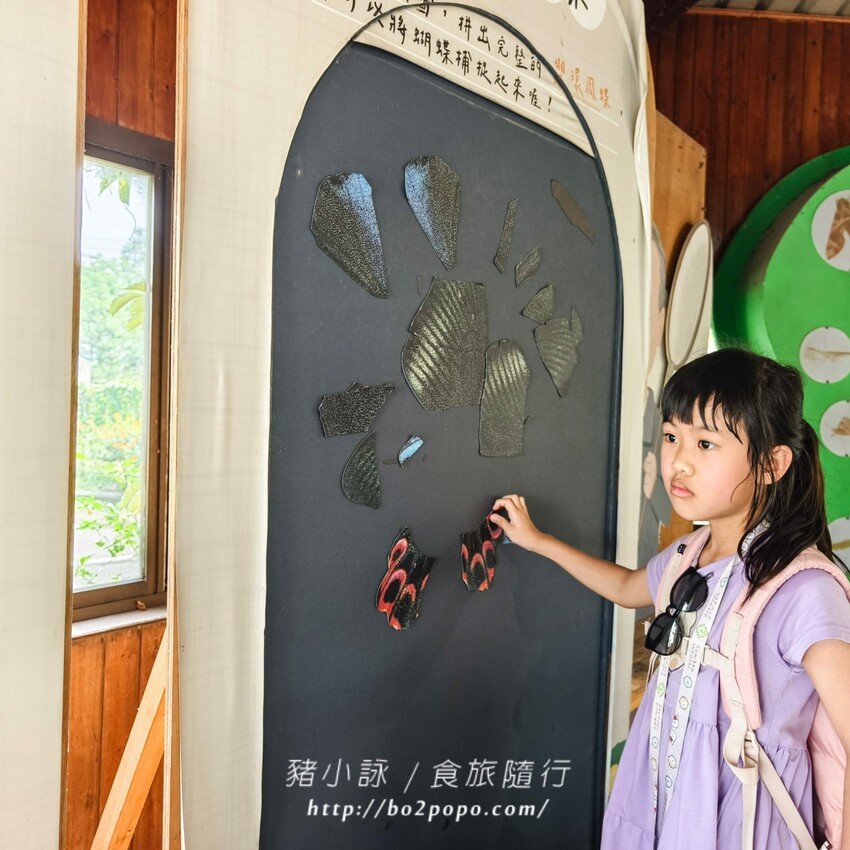 南投縣埔里鎮南投。埔里》木生昆蟲博物館。有趣的親子景點