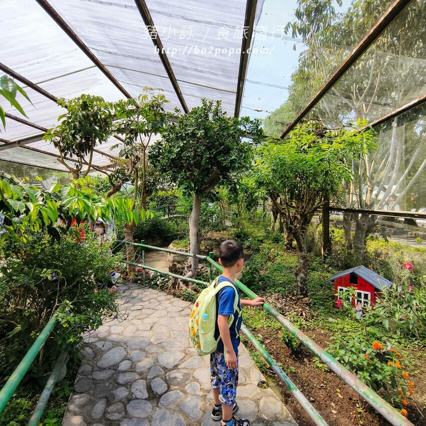 南投縣埔里鎮南投。埔里》木生昆蟲博物館。有趣的親子景點