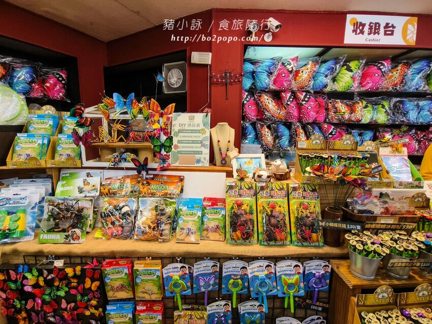 南投縣埔里鎮南投。埔里》木生昆蟲博物館。有趣的親子景點