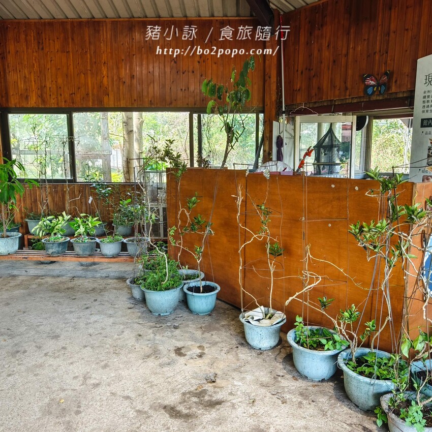 南投縣埔里鎮南投。埔里》木生昆蟲博物館。有趣的親子景點