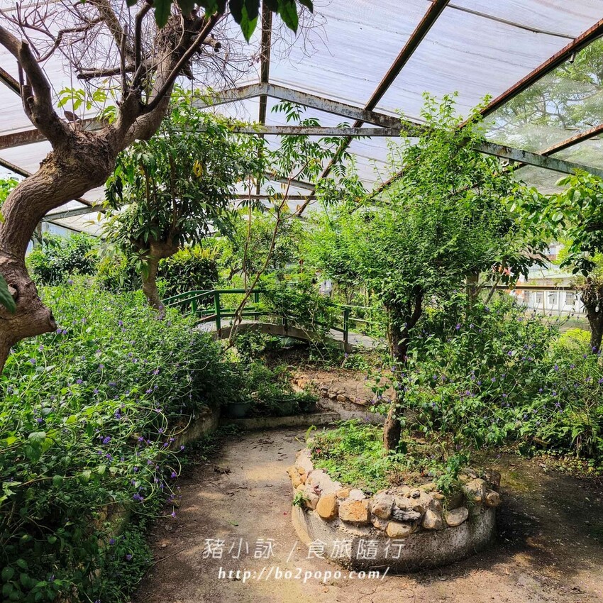 南投縣埔里鎮南投。埔里》木生昆蟲博物館。有趣的親子景點