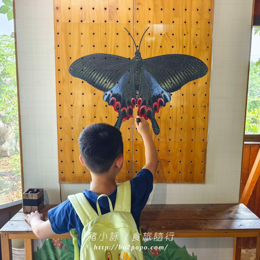 南投縣埔里鎮南投。埔里》木生昆蟲博物館。有趣的親子景點