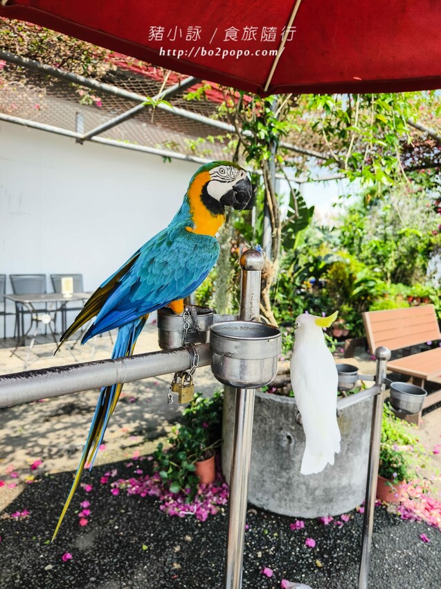 南投縣埔里鎮南投。埔里》木生昆蟲博物館。有趣的親子景點