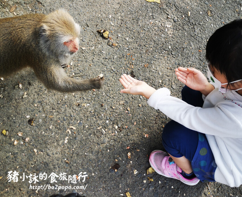 高雄市大樹區【高雄台南旅遊攻略】逃離城市喧囂,三天兩夜暢遊山線,領略自然與人文之美