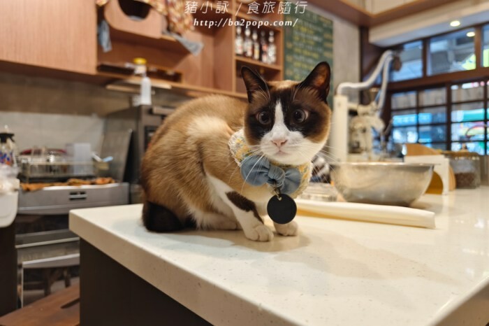 高雄市大樹區【高雄台南旅遊攻略】逃離城市喧囂,三天兩夜暢遊山線,領略自然與人文之美