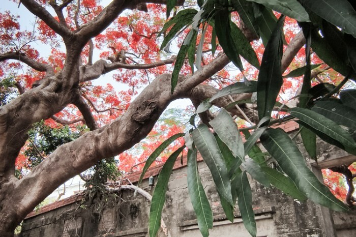 南投縣埔里鎮南投。埔里》木生昆蟲博物館。有趣的親子景點