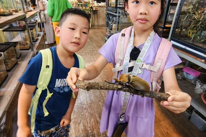 高雄市大樹區【高雄台南旅遊攻略】逃離城市喧囂,三天兩夜暢遊山線,領略自然與人文之美