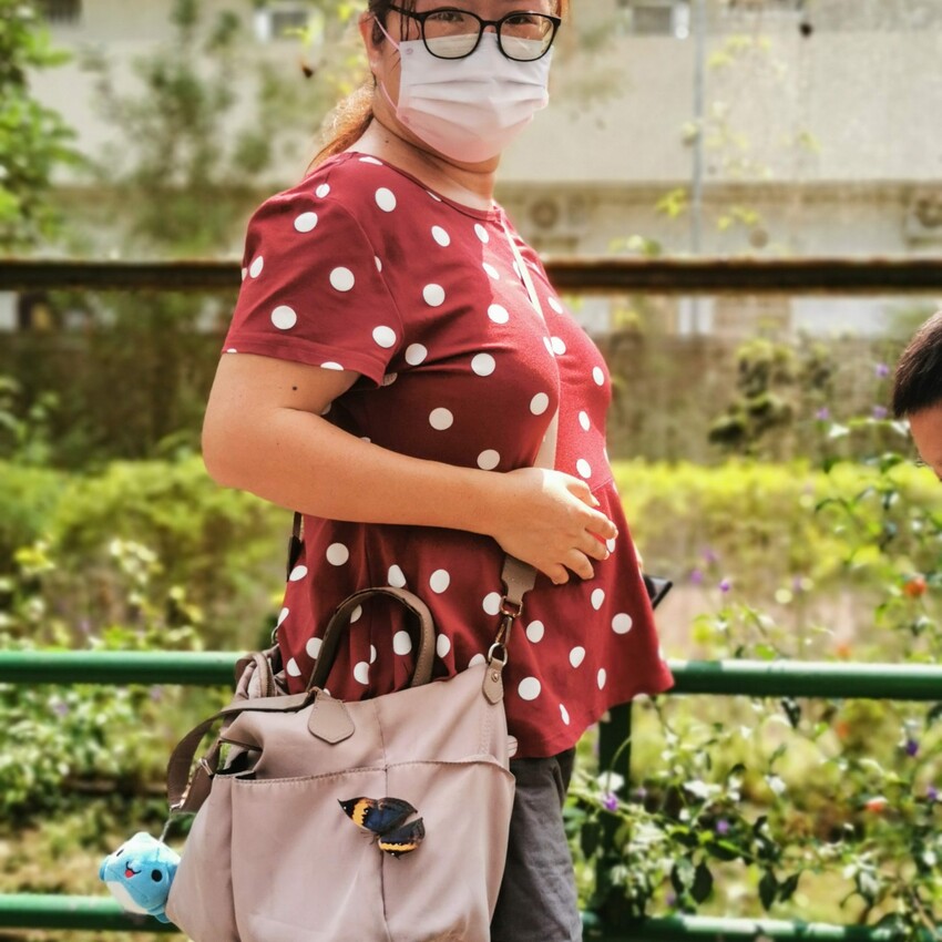 南投縣埔里鎮南投。埔里》木生昆蟲博物館。有趣的親子景點