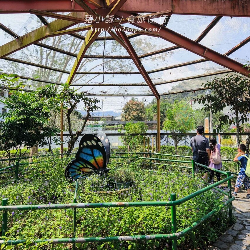 南投縣埔里鎮南投。埔里》木生昆蟲博物館。有趣的親子景點