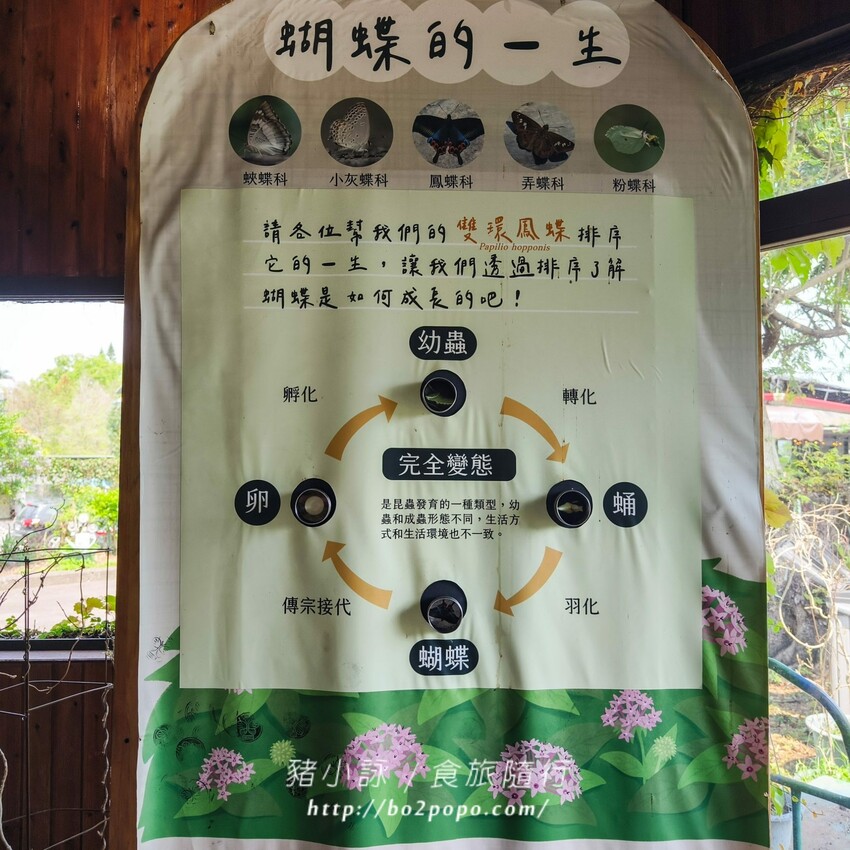 南投縣埔里鎮南投。埔里》木生昆蟲博物館。有趣的親子景點
