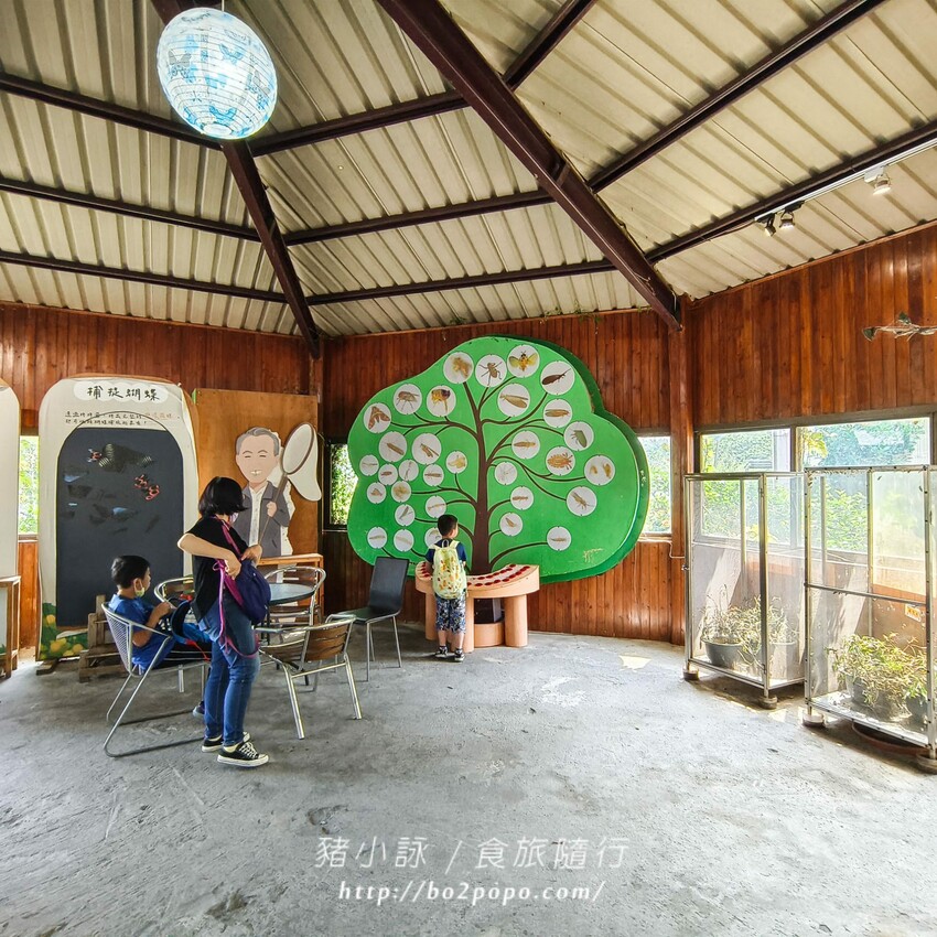 南投縣埔里鎮南投。埔里》木生昆蟲博物館。有趣的親子景點